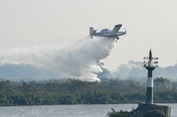 Imagem de compartilhamento para o artigo MS mantém ações permanentes para conter incêndios no Pantanal da MS Todo dia